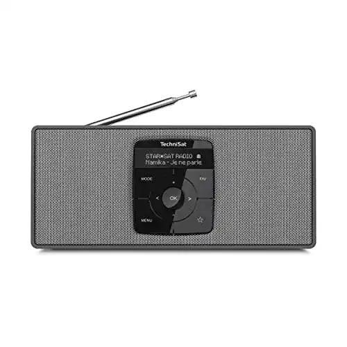 TechniSat DIGITRADIO 2 S – Tragbares DAB Radio mit Bluetooth