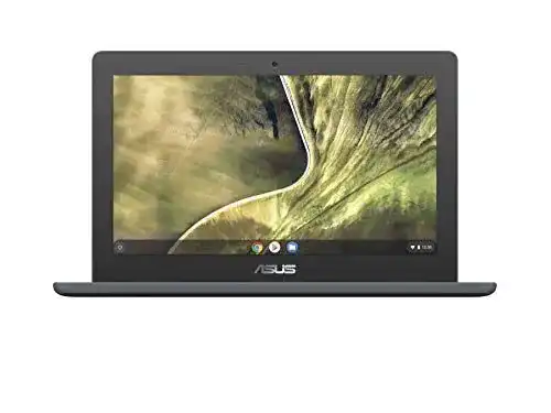 Asus Chromebook C204MA – 32GB Laptop für den Bildungsbereich