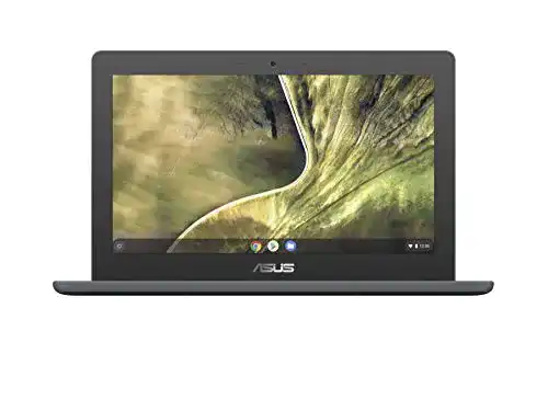 Asus Chromebook C204MA – 32GB Laptop für den Bildungsbereich
