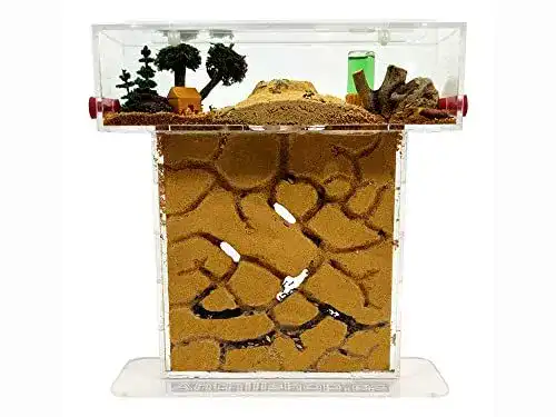 Ameisenfarm Anthillshop aus Sand und Acryl, T-Form, 15x15x1,5 cm