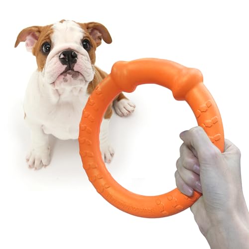 Hundefrisbee LaRoo – Hundefitness Ring für Apportierspiele