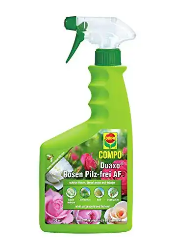 Compo Duaxo Rosen Pilzfrei AF zur Bekämpfung von Pilzkrankheiten