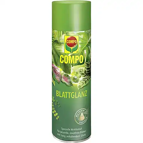 Blattglanzspray Compo für Zimmerpflanzen und Grünpflanzen