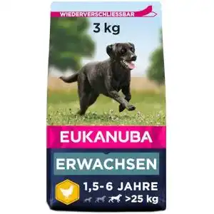 Hundefutter günstig