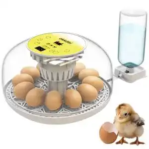 Brutmaschine vollautomatisch