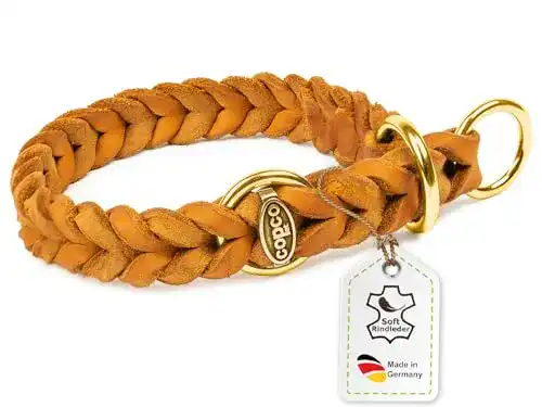 Hundehalsband aus Fettleder von CopcoPet – Geflochtenes Modell mit Messingbeschlägen