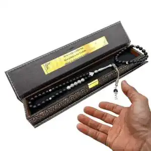 418nvVyT6PL. SL500 