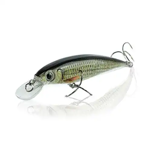 Wobbler Fränkys Jerkbait für Hecht, Zander und Barsch