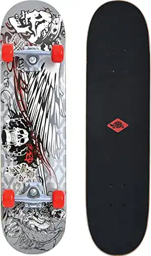 Skateboard Schildkröt Kicker 31 – Komplett-Board für Einsteiger