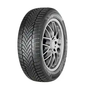 Winterreifen 215_65 R16