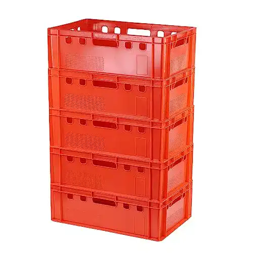 Fleischerkisten Logiplast 5 Stück E2 Kisten 60x40x20 mm