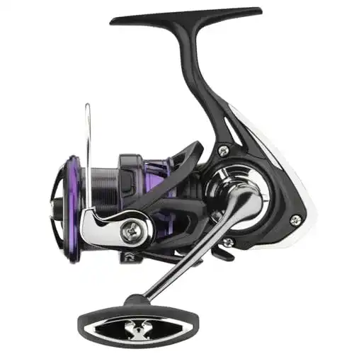 Daiwa 18 Prorex X LT 2500 Spinnrolle für Raubfischangeln
