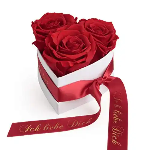 Rosenbox Rosemarie Schulz Heidelberg mit konservierten Infinity Rosen