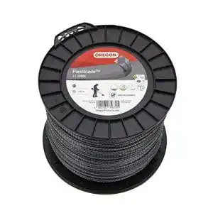 41AYBx9tNnL. SL500 