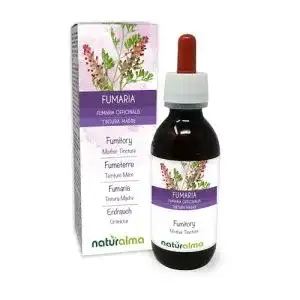 Erdrauch Kraut mit Blüten (Fumaria officinalis) als Nahrungsergänzungsmittel