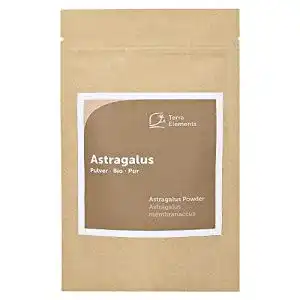 Astragalus Terra Elements Bio Pulver 100 g – Tragant (membranaceus)