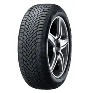 41BeaAAW8L. SL500 