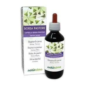 Hirtentäschel Naturalma Kraut alkoholfreie Urtinktur – 200 ml