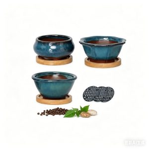 Bonsai-Schalen Set aus Keramik mit Drainage (Ø 811 cm)