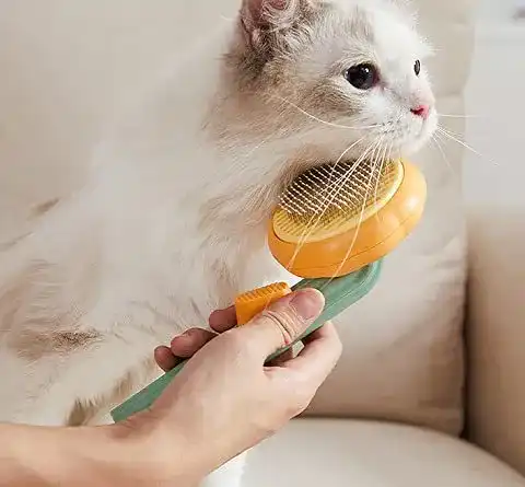 Katzenbürste AIWO Premium für Haustiere – Haarentferner für Hunde und Katzen