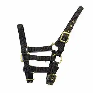 Fohlenhalfter Rhinegold aus Nylon in Schwarz für Fohlen