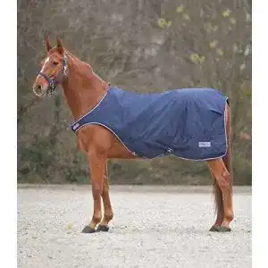 41DmHuG6a1L. SL500 