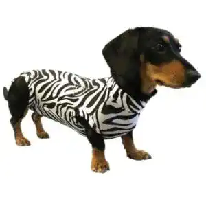 MPS Medical Pet Shirt für Hunde im Zebra Print in Größe S