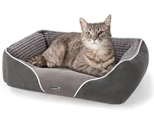 Katzenbett und Hundebett für kleine Hunde von Pecute