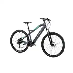 E-Bike F.lli Schiano E-Mercury 29 Zoll Mountainbike mit 250W Motor