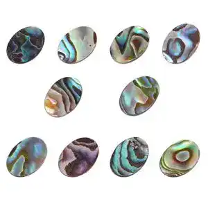 Abalone-Muschel 10 Stück – Oval, Natürlich, Flach, Perlen für Schmuck