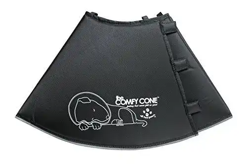 Halskrause für Hunde All Four Paws Comfy Cone Größe Medium