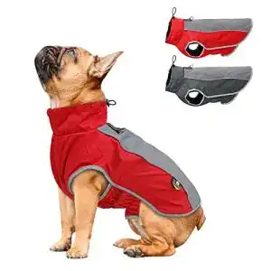 Hundemantel AxSpeed für Hunde in Herbst und Winter