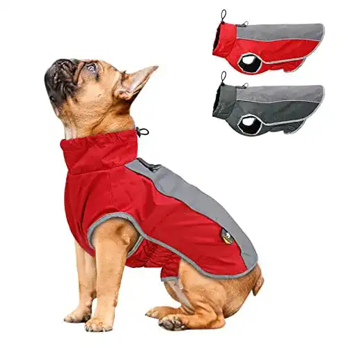 Hundemantel AxSpeed für Hunde in Herbst und Winter