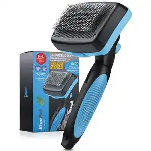 41FJx GC8mL. SL500 