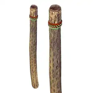 Regenmacher Terré aus Chile, 75 cm lang, Ø 4-6 cm, braun