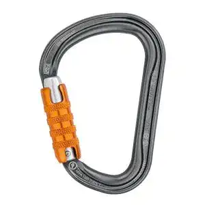 41FgfVT5oyL. SL500 