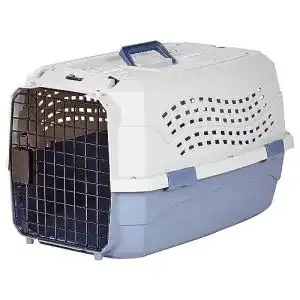 Katzentransportbox von Amazon Basics mit zwei Türen