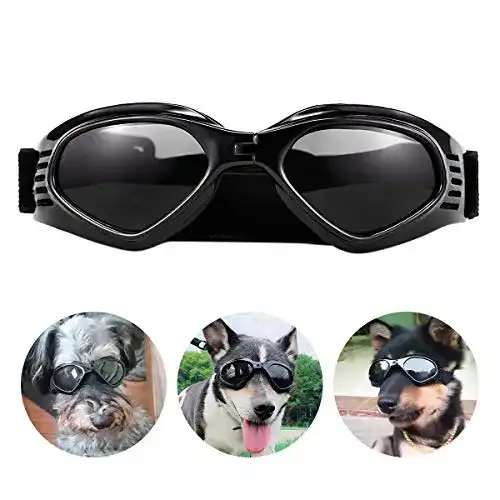 Hundebrille Pedomus für kleine und mittlere Hunde mit verstellbarem Riemen