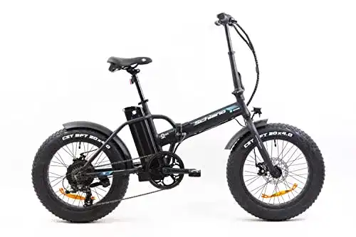 E-Bike F.lli Schiano E-Boss 20 Zoll Pedelec unter 1.000 Euro