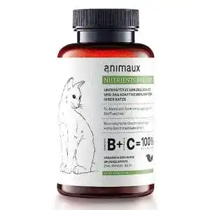 Vitamine für Katzen