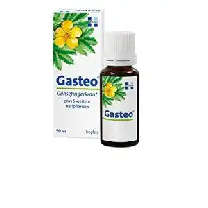 Magentropfen Gasteo mit sechs Magen-Darm-Heilpflanzen