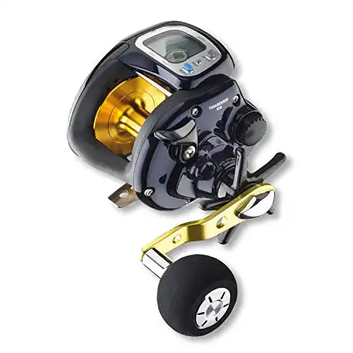 Elektro-Multirolle Daiwa Tanasensor 500 im Vergleich