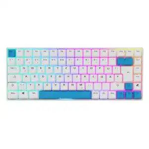 Sharkoon Skiller SGK50 S3 PBT Gaming Tastatur mit RGB-Beleuchtung