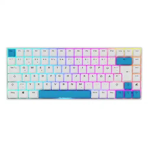 Sharkoon Skiller SGK50 S3 PBT Gaming Tastatur mit RGB-Beleuchtung
