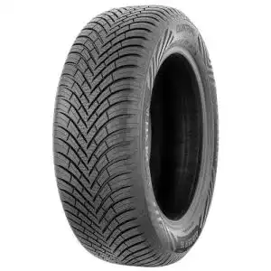 41JQd1u29bL. SL500 