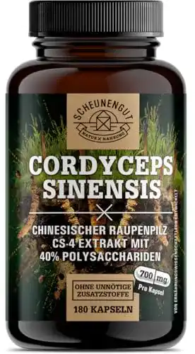 Cordyceps Kapseln mit 1400mg Tagesdosis von Scheunengut