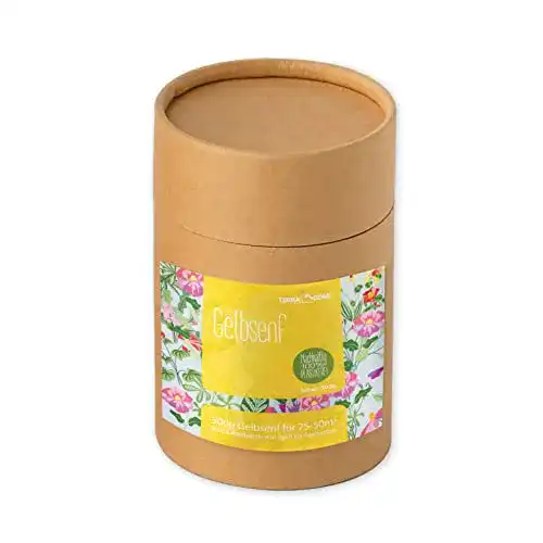 Gelbsenf-Samen Terra Domi 500g für gesunde Böden