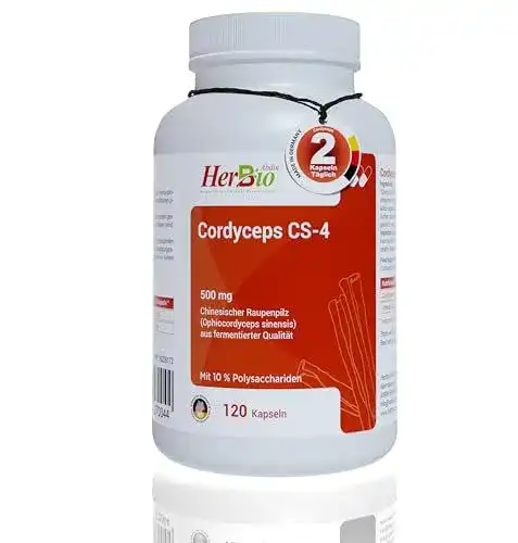 Cordyceps Kapseln von HerbBio – Premiumqualität aus kontrolliertem Anbau