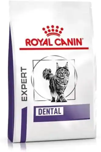 Royal Canin Expert Dental Trockenfutter für Katzen 1,5 kg
