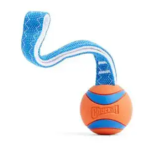 Hundeball Chuckit! CH231201 Ultra Tug Medium – Zerrspielzeug aus Naturkautschuk